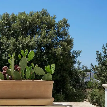 Antonella Bed & Breakfast 3*