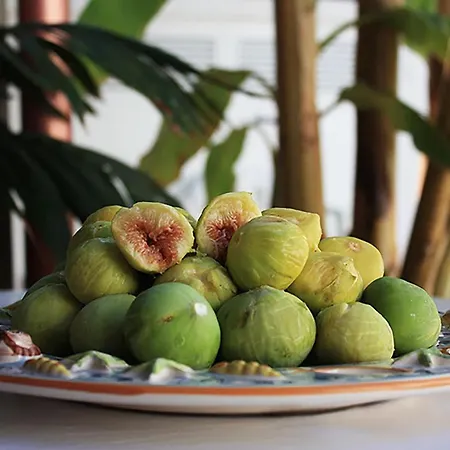 Bed & Breakfast Antonella Santa Maria di Leuca